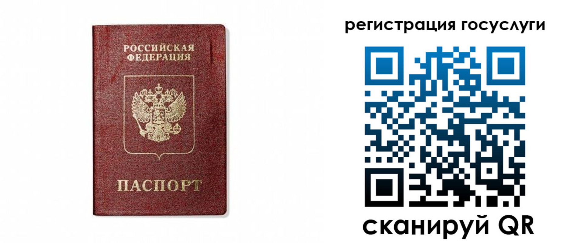 прописка паспорт в Кингисеппе
