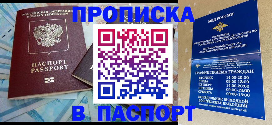 найти адрес прописки в Кингисеппе
